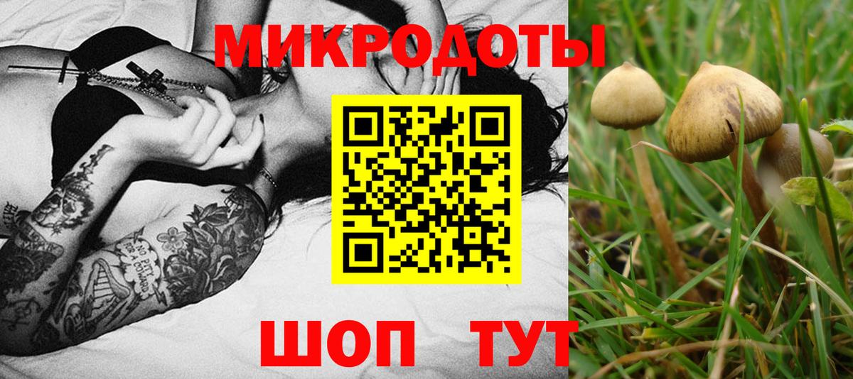 Псилоцибиновые грибы ЛСД  Псилоцибиновые грибы GOLDEN TEACHER  Вход с VPN  Псков 