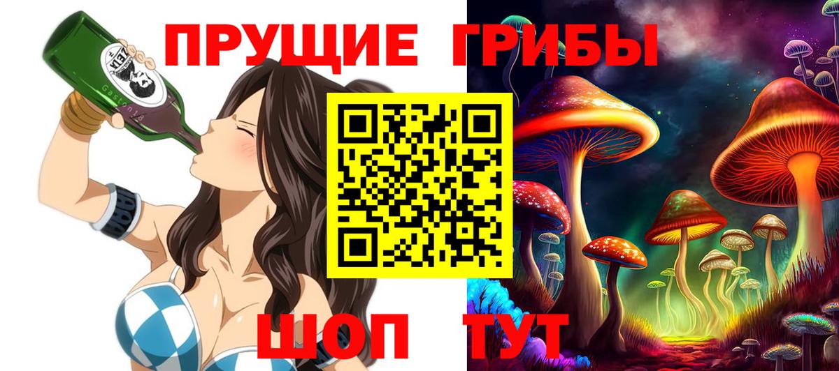 Псилоцибиновые грибы Psilocybine cubensis Псков