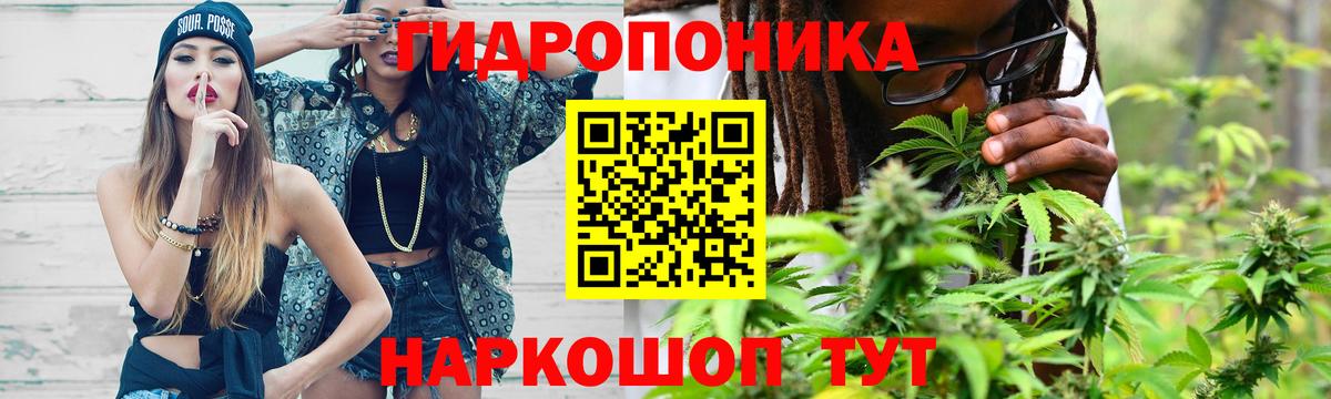 Конопля гибрид  Вход с VPN  Псков  Бошки Шишки марихуана 
